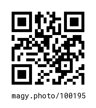 QR Code #100195