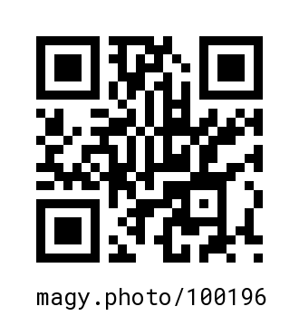 QR Code #100196