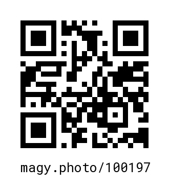 QR Code #100197
