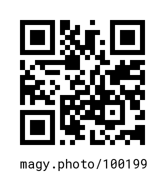 QR Code #100199