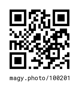 QR Code #100201