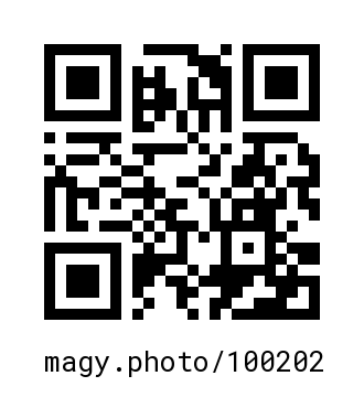 QR Code #100202