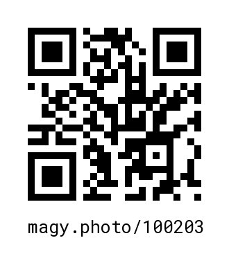 QR Code #100203