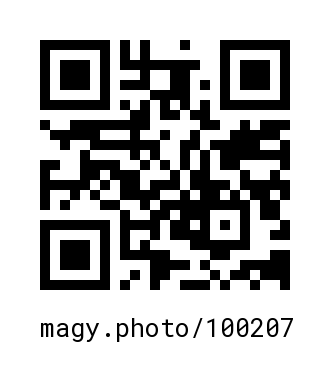 QR Code #100207