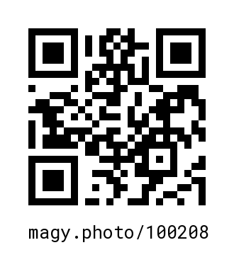 QR Code #100208