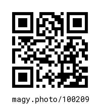 QR Code #100209