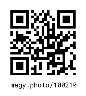 QR Code #100210
