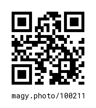 QR Code #100211