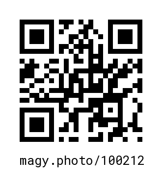 QR Code #100212