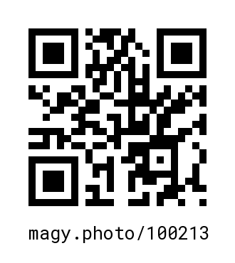 QR Code #100213
