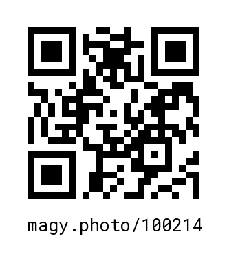 QR Code #100214
