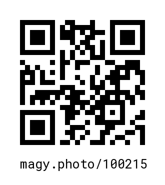 QR Code #100215