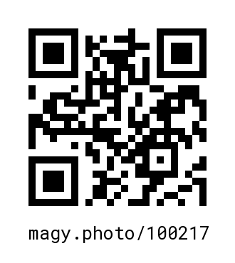 QR Code #100217