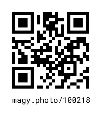 QR Code #100218