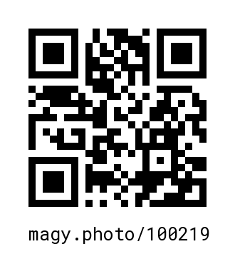QR Code #100219