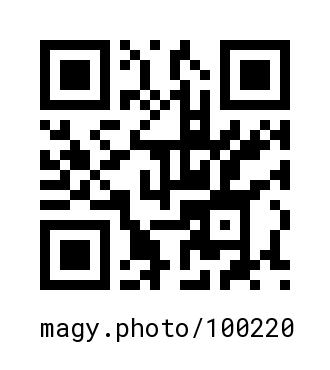 QR Code #100220