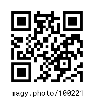 QR Code #100221