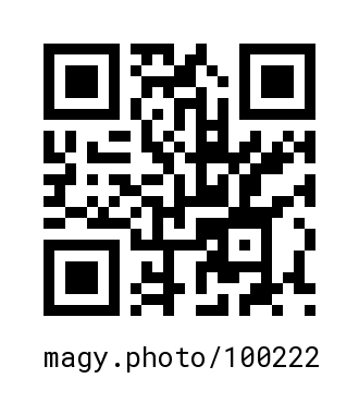 QR Code #100222
