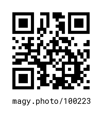 QR Code #100223