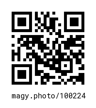 QR Code #100224