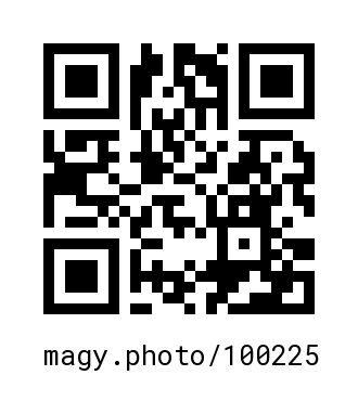 QR Code #100225