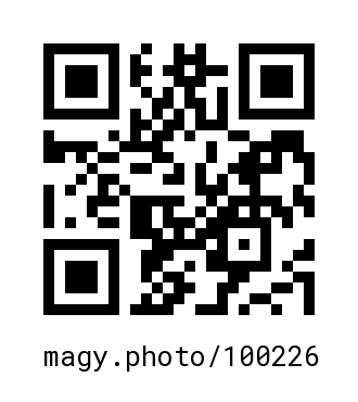 QR Code #100226