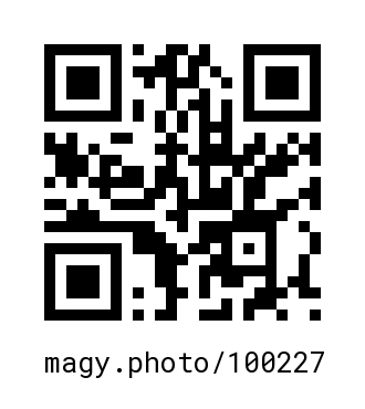 QR Code #100227