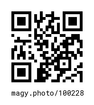 QR Code #100228