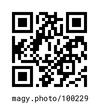 QR Code #100229