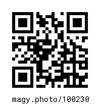 QR Code #100230
