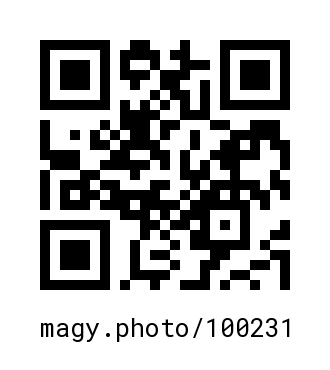 QR Code #100231