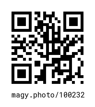 QR Code #100232