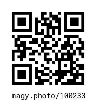 QR Code #100233