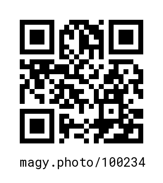 QR Code #100234