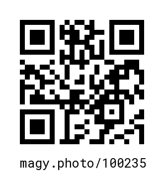 QR Code #100235