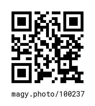 QR Code #100237