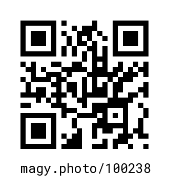 QR Code #100238