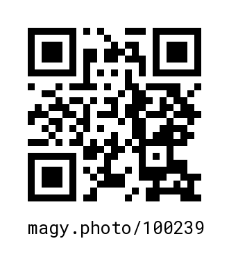 QR Code #100239