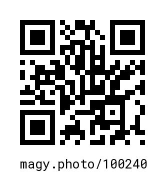 QR Code #100240