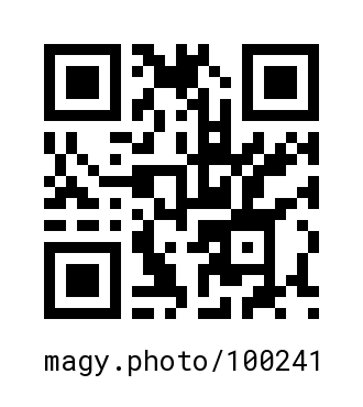 QR Code #100241