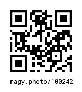QR Code #100242