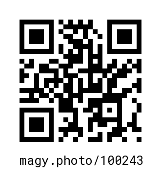 QR Code #100243