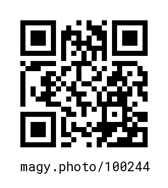 QR Code #100244
