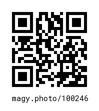 QR Code #100246
