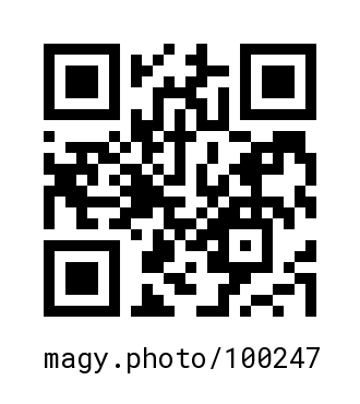QR Code #100247