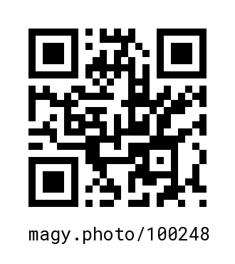 QR Code #100248
