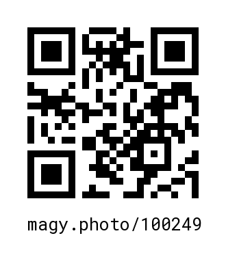 QR Code #100249