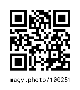 QR Code #100251