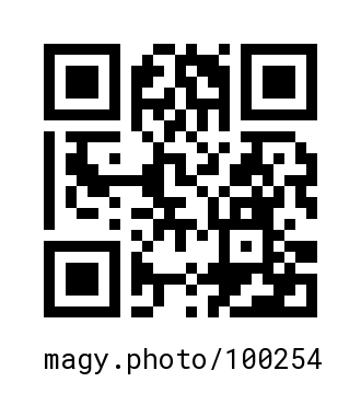 QR Code #100254