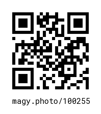 QR Code #100255